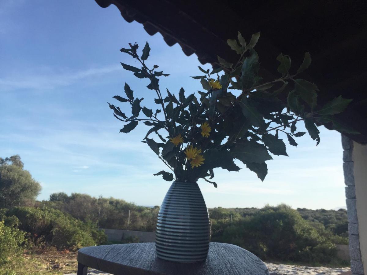 Vila Domo Sara Orosei Exteriér fotografie