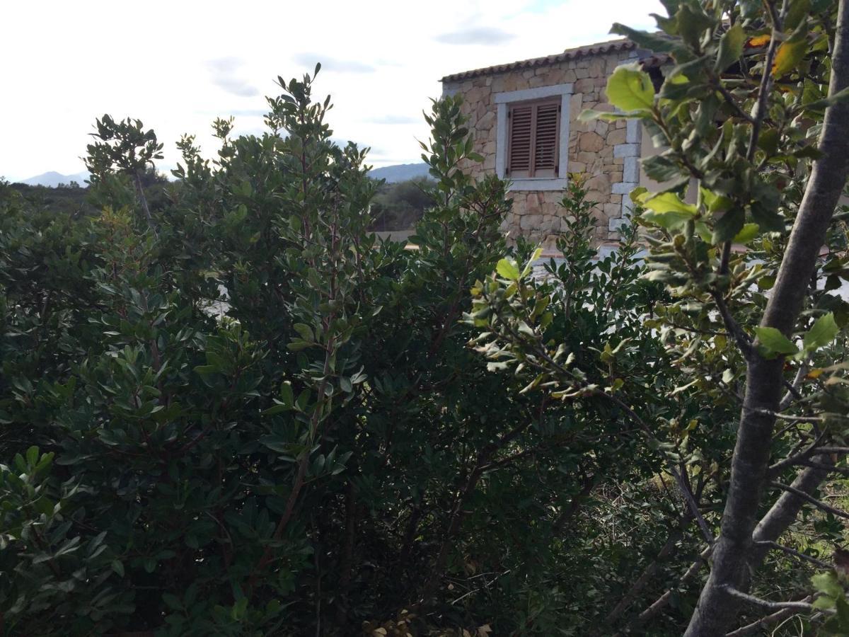 Vila Domo Sara Orosei Exteriér fotografie